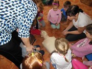 ČČK Mladá Boleslav - první pomoc